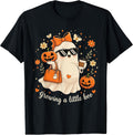 Growing A Little Boo Halloween Pregnancy Reveal T-Shirt