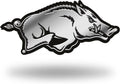NCAA Molded Auto Emblem Unisex