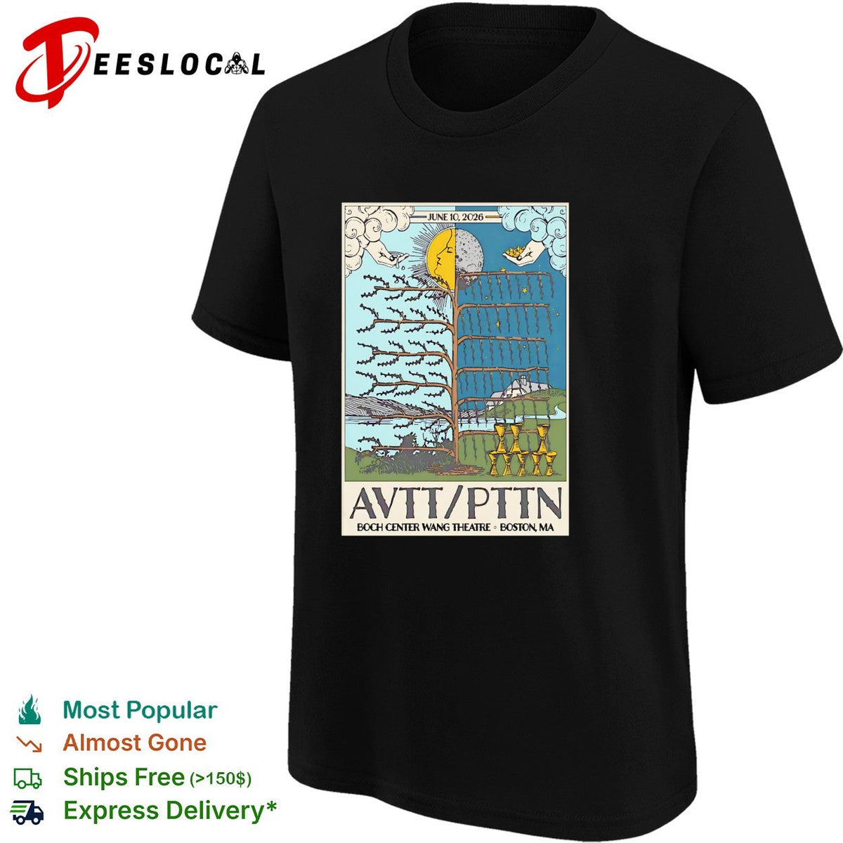 AVTT PTIN Boch Center Wang Theatre Boston MA concert shirt Unisex