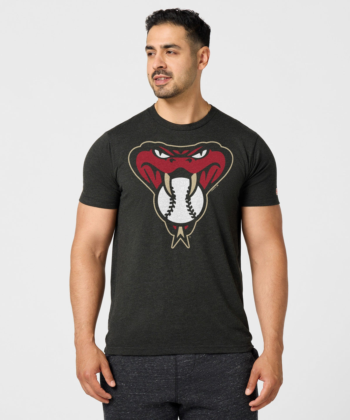 Arizona Diamondbacks Alt Logo '16 Unisex