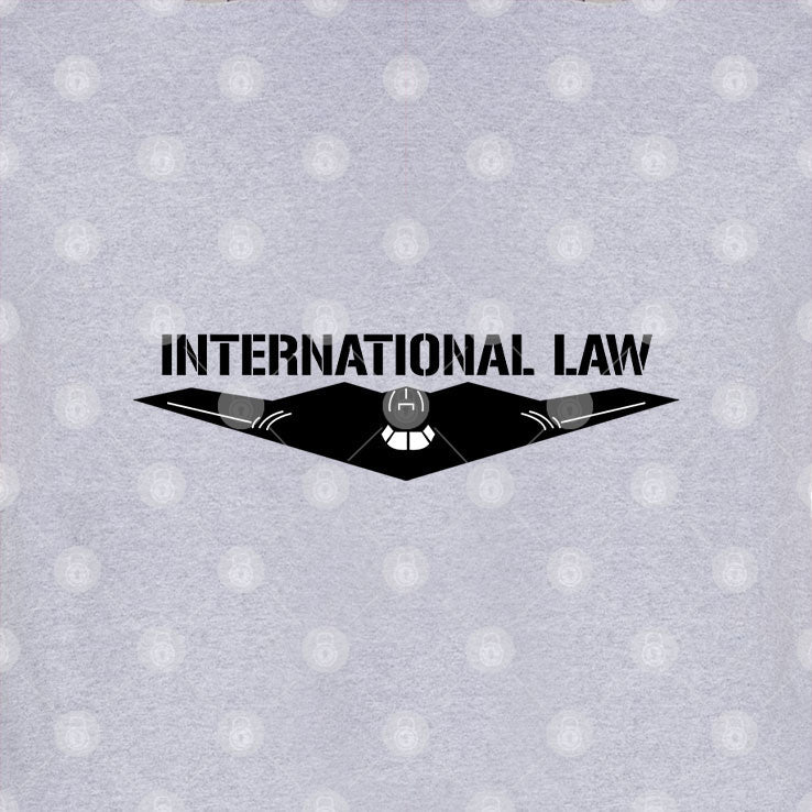 B-2 International Law T Shirt Unisex