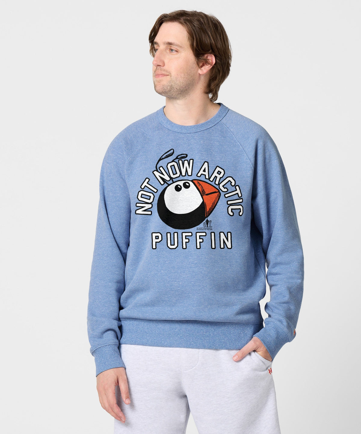 Not Now Arctic Puffin Crewneck Unisex