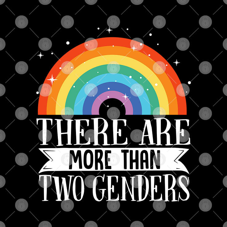 There Are More Than Two Genders Rainbow Pride T Shirt Unisex