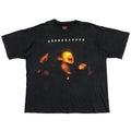 SOUNDGARDEN SUPERUNKNOWN THE DAYS WE TRIED TO LIVE TOUR 1994 BROCKUM XXL 3282