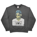 DENNIS RODMAN 1997 nWo CREWNECK SWEAT DELTA LARGE 8904