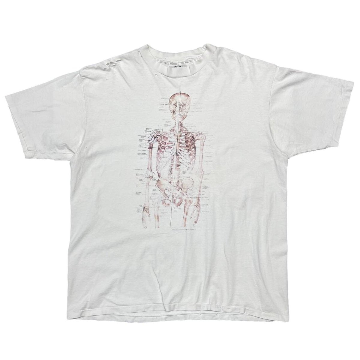 OLD & VINTAGE HUMAN SPECIMEN WHITE XXL 7556