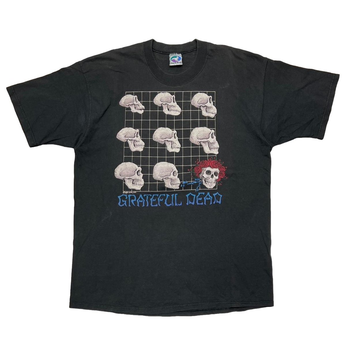 GRATEFUL DEAD EVOLUTION What a Long Strange Trip It's Been LIQUID BLUE XL 5286