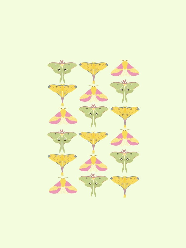 Beautiful Vibrant Moths on a Green Background by Alysha Newton