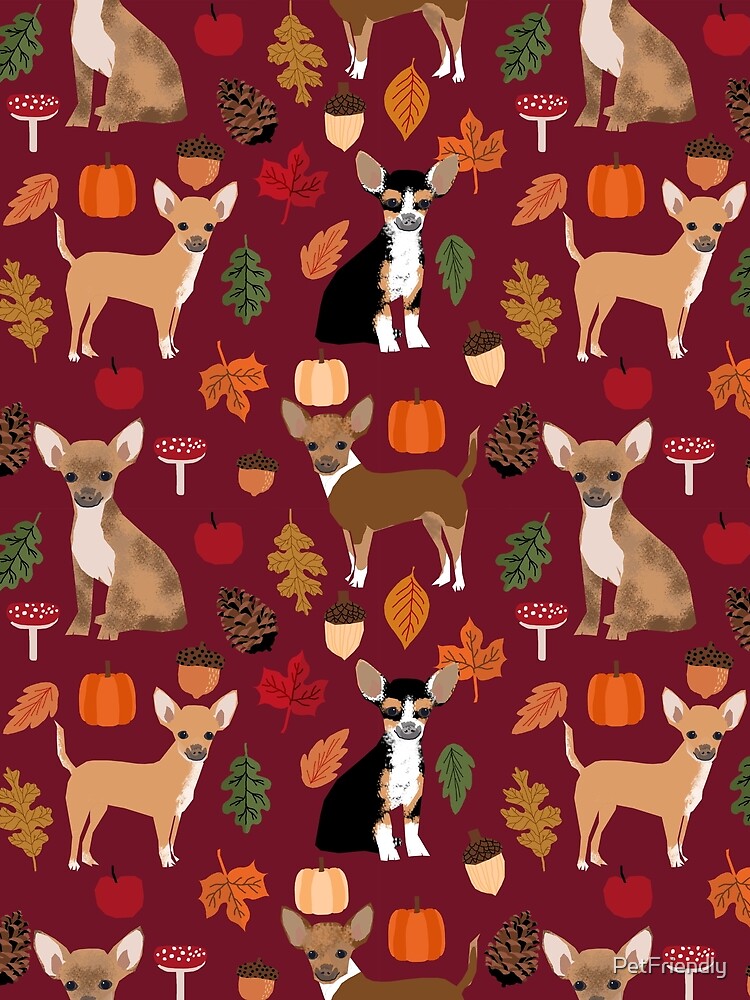 Chihuahua autumn fall dog breed pet portrait acorn pumpkin by PetFriendly