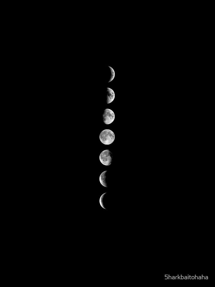 Moon Phases by 5harkbaitohaha