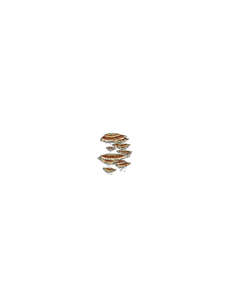 Turkey Tail Mushroom by Clever-Corvus
