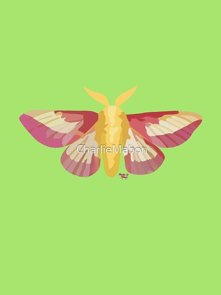 Rosy Maple Moth by CharlieMabon