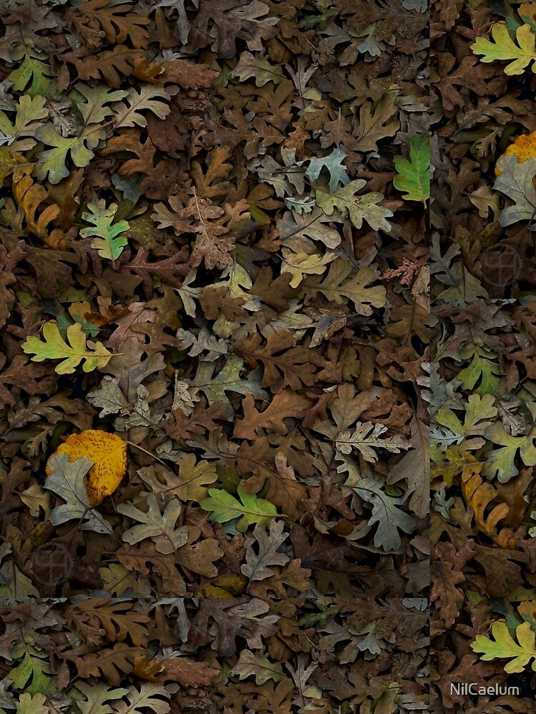 Autumn Leaves by NilCaelum