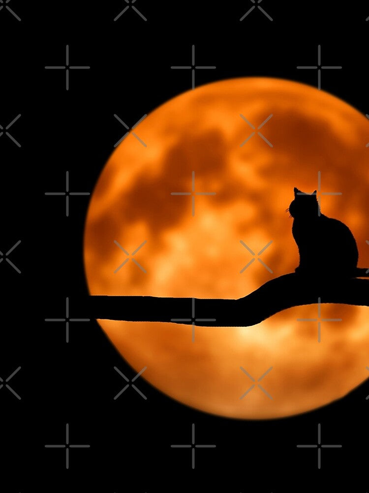 LUNAR CAT by abelcruz