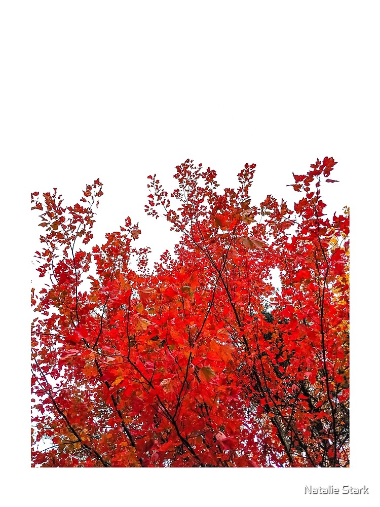 fall leaves vol.2 by Natalie Stark