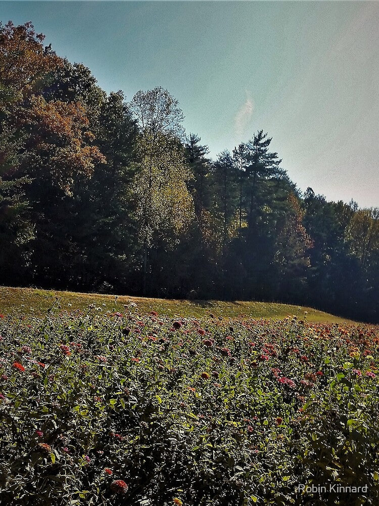 Burt's Pumpkin Farm by Robin Kinnard