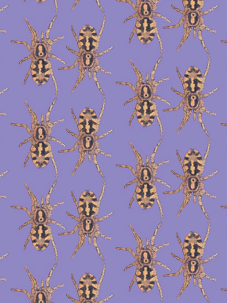 Pumpkin patch tarantula painting pattern by Bugbotherer30