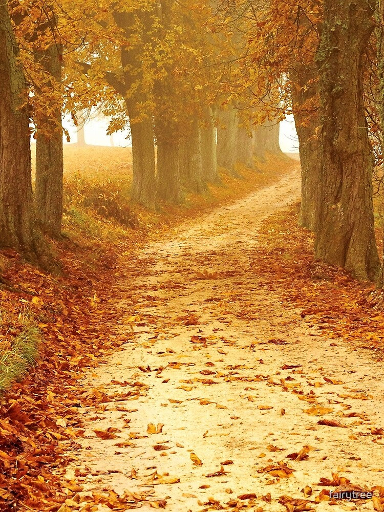 Golden Road by fairytree