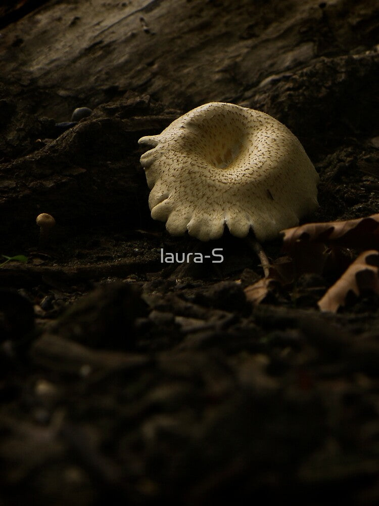 mushroom by laura-S