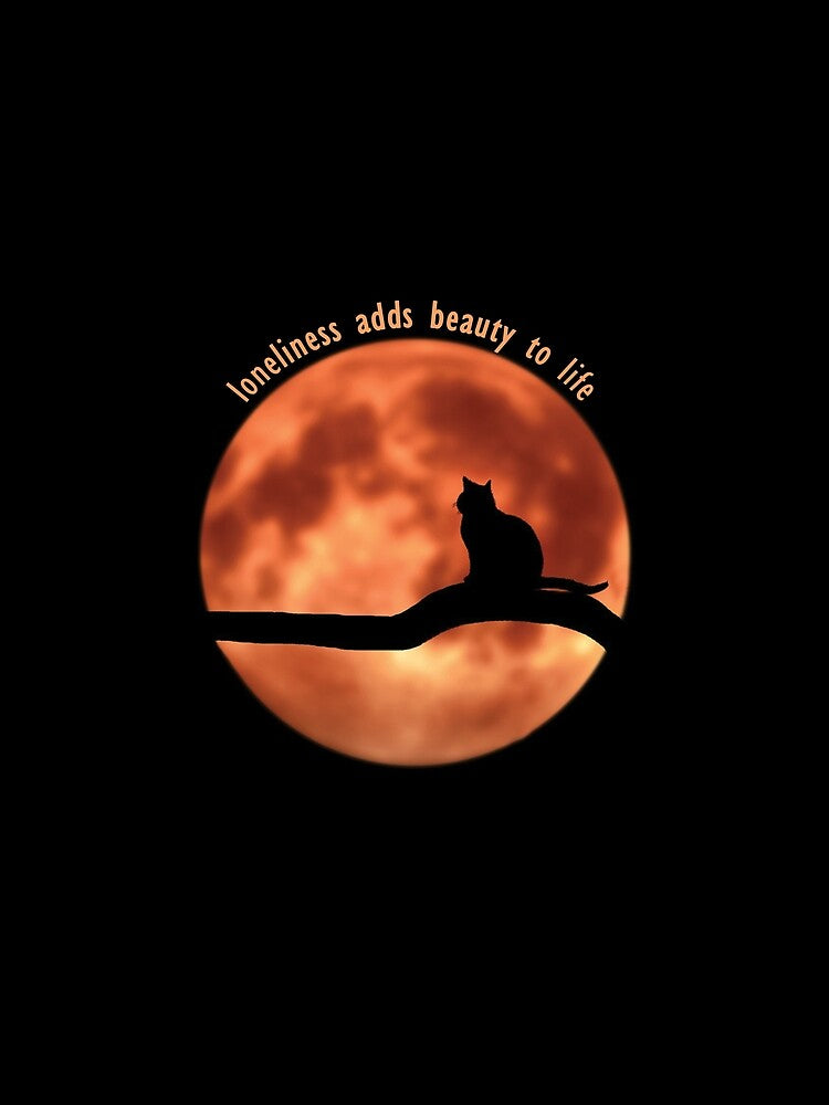 cat with moon by PabasaraArts