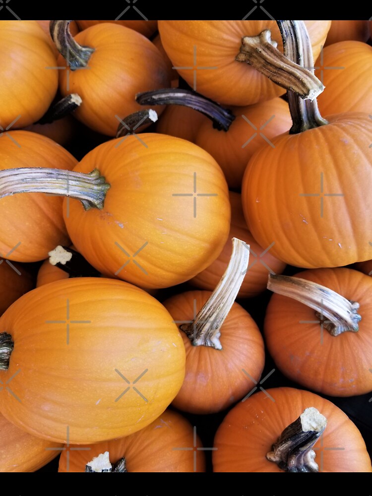 Pretty Pie Pumpkins by MixedBagMerch