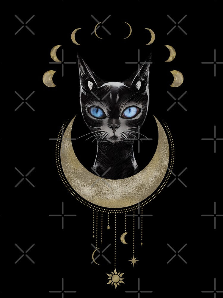Celestial Cat Moon Phases by miaowlove
