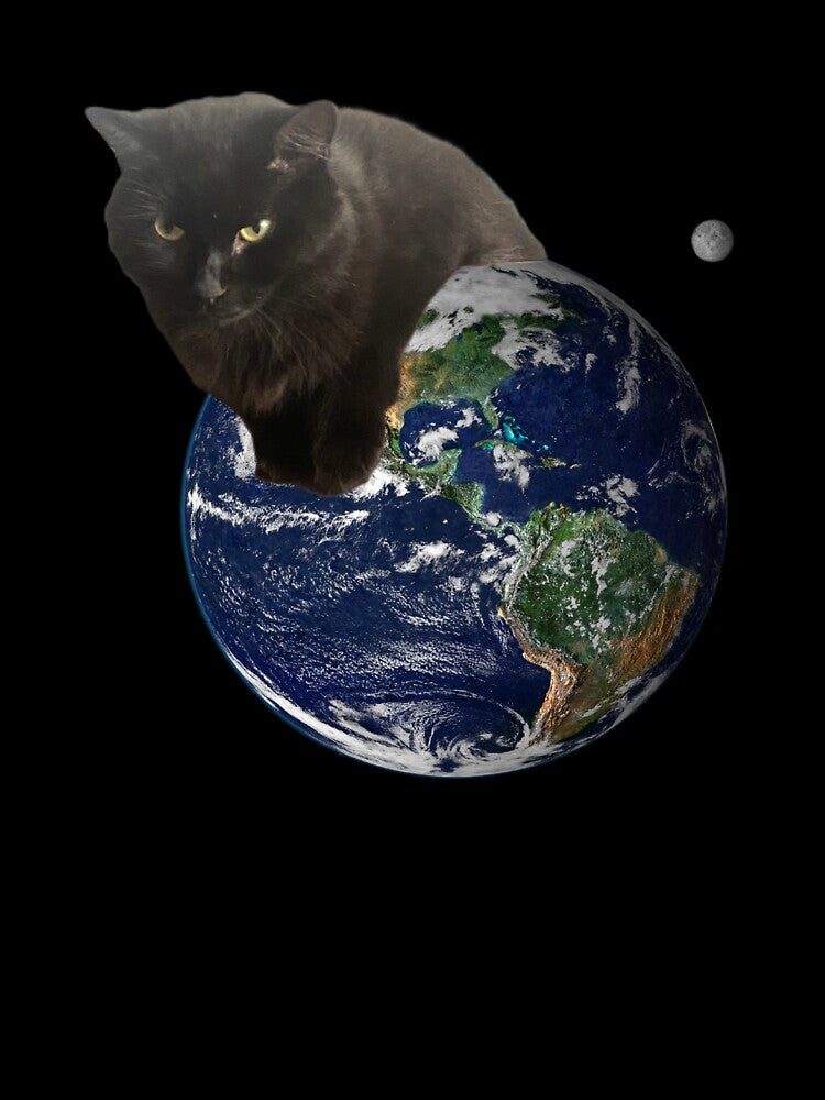 Space Cat by scrapbookcats