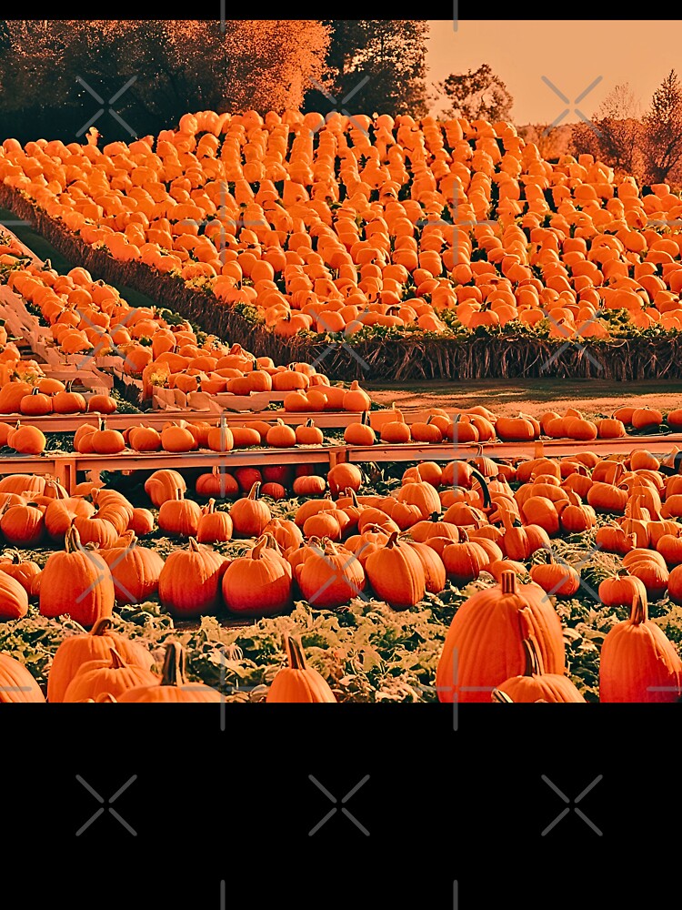HOMER GLEN ILLINOIS PUMPKIN FARM by milestotreasure