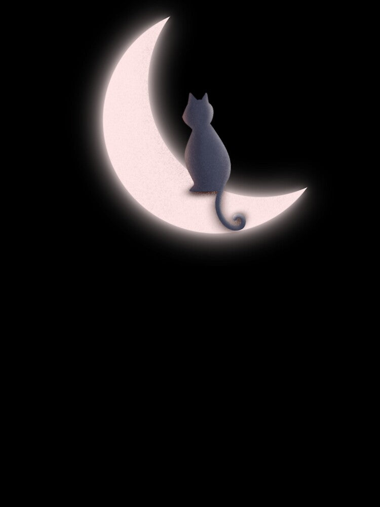 Cat by Pmorh