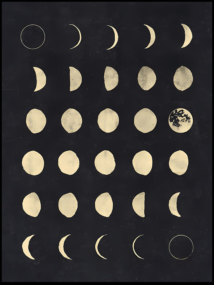 Moon Phases by terrymyra