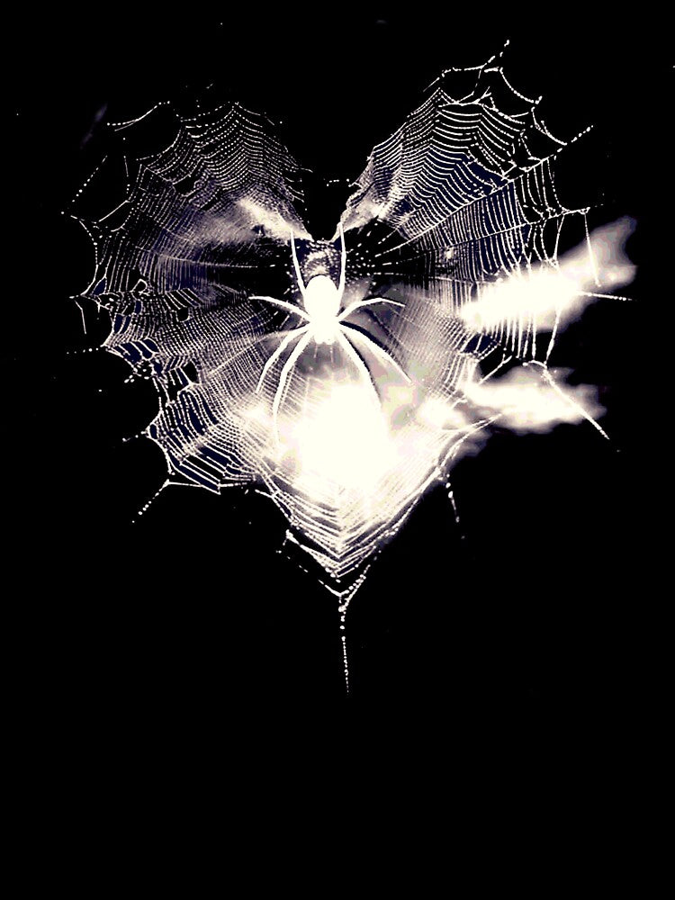 Heart Web by weirdove