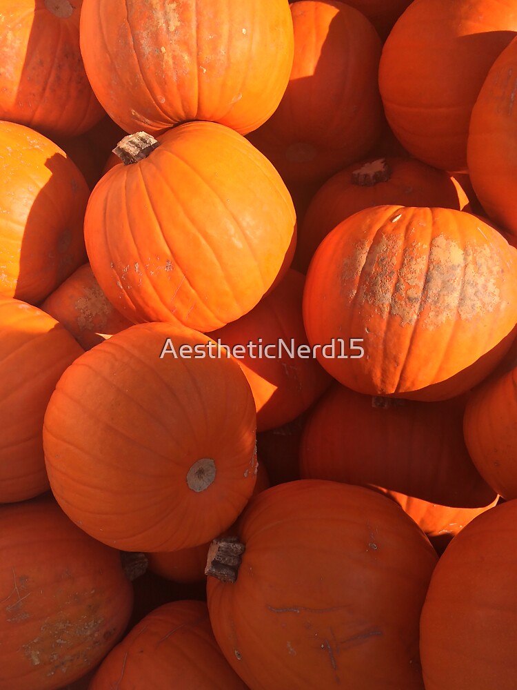 Pile of Pumpkins by AestheticNerd15