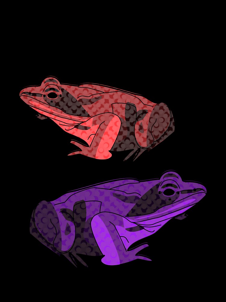 Frog Stickers Orange and Purple by Art in My Loft