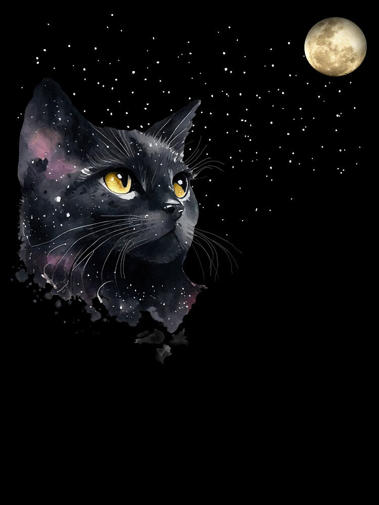 CAT AND THE MOON, MYSTERIOUS BLACK CAT AND MOON by Danicus666