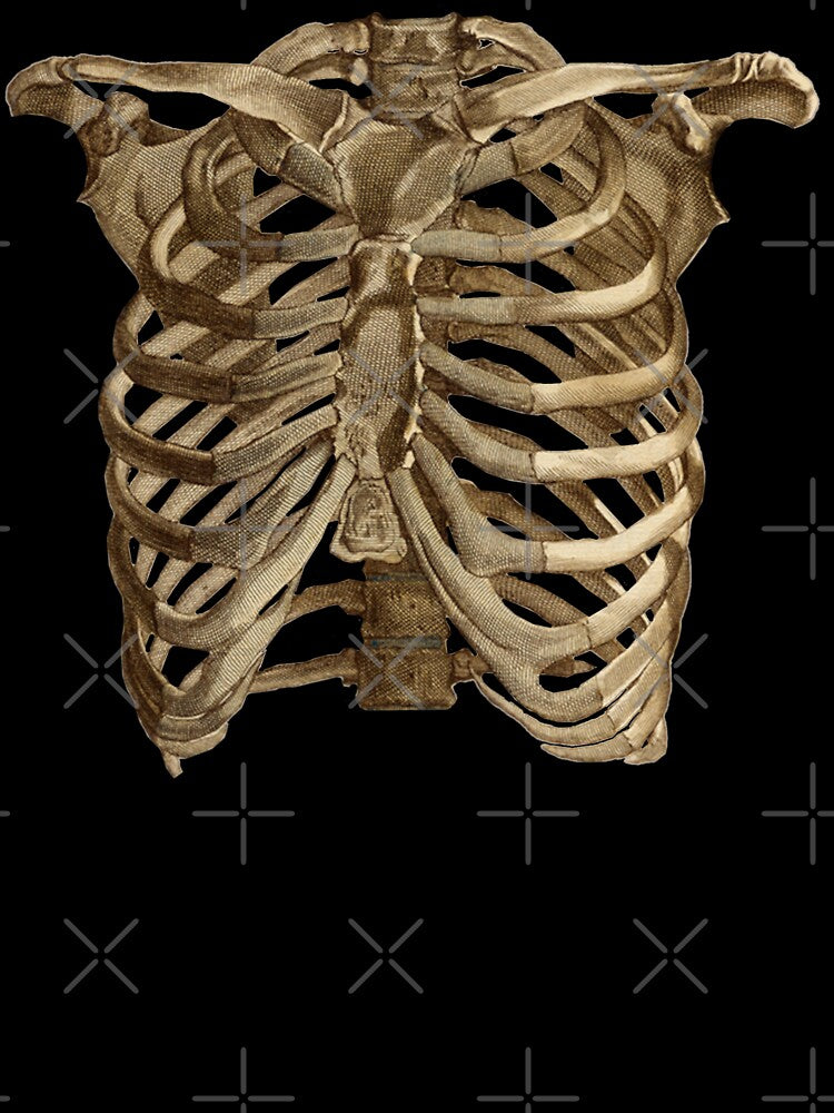 Vintage Skeleton Ribcage Torso Cool Antique Illustration Look by TrulyEpoque