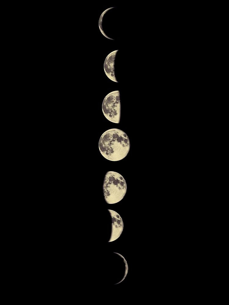 MOON PHASES by larissa-myrie