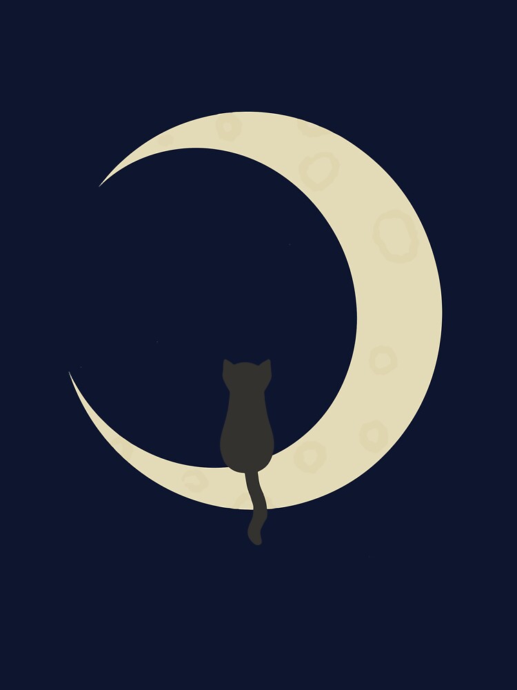 Black cat on moon by daisyandlime