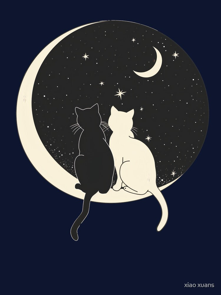 Black Cat And White Cat by xiao xuans