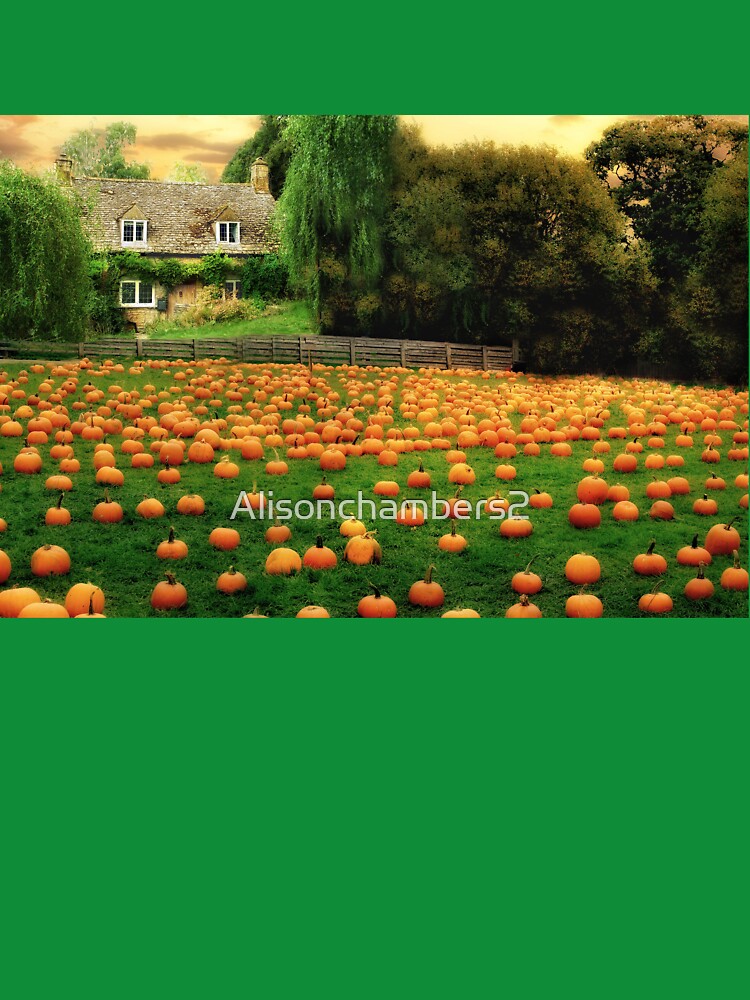 The Pumpkin Patch by Alisonchambers2