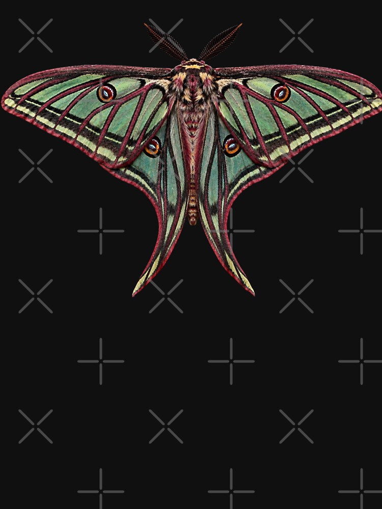 Spanish Moon Moth Graellsia isabellae Realistic Style by Harpagann