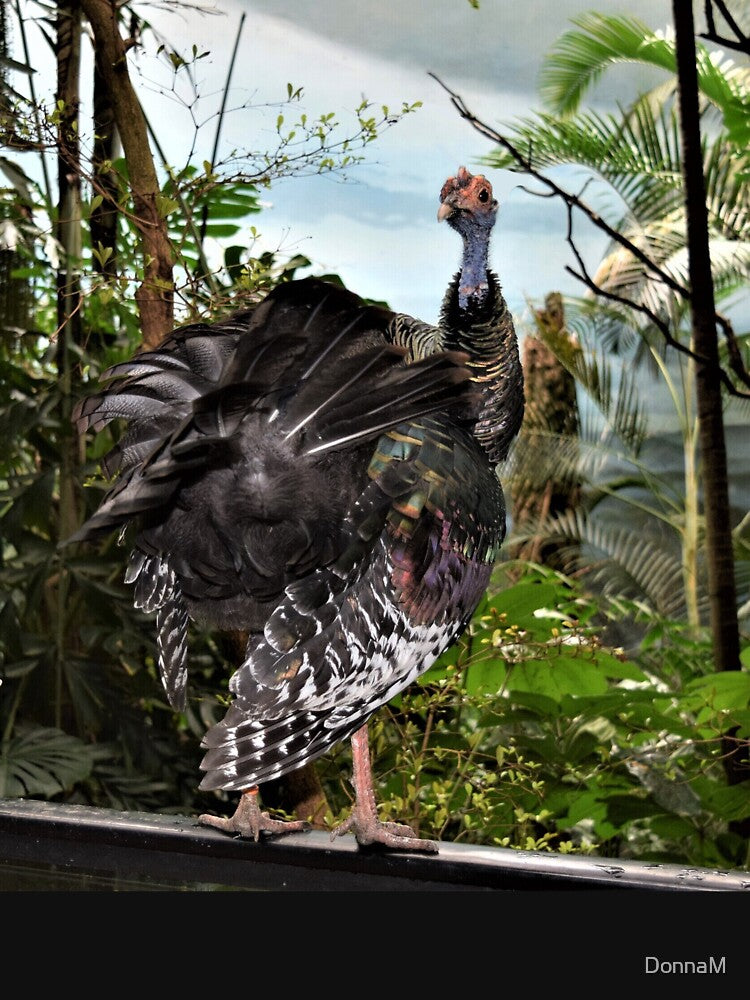 Gobble, Gobble... by DonnaM