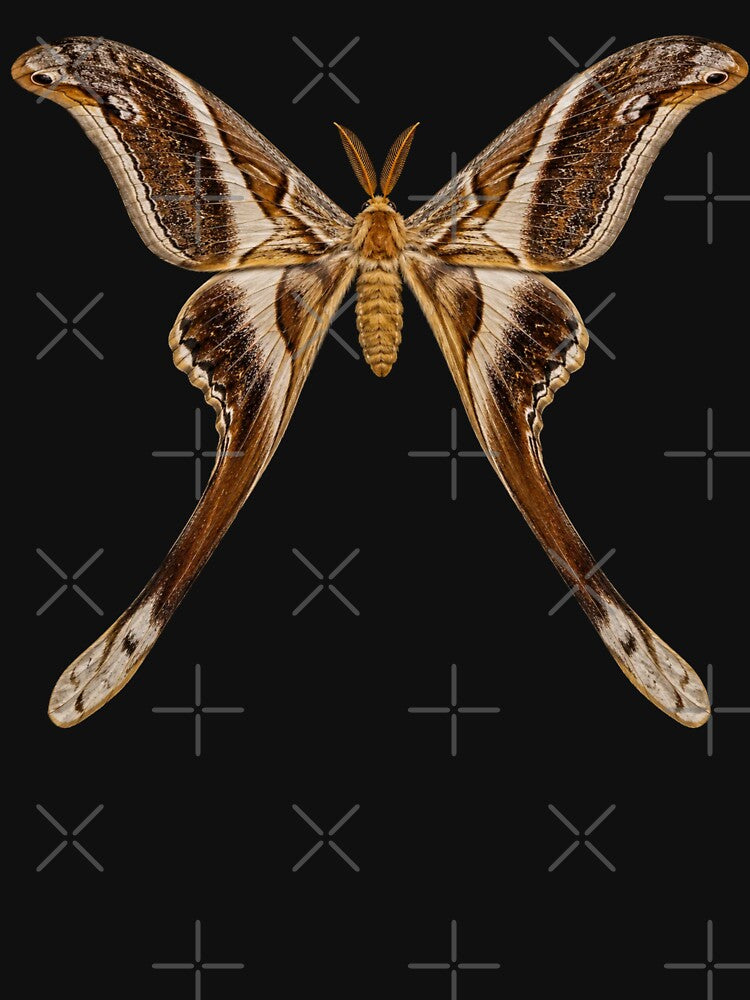 Hercules Moth Coscinocera hercules Realistic Style by Harpagann