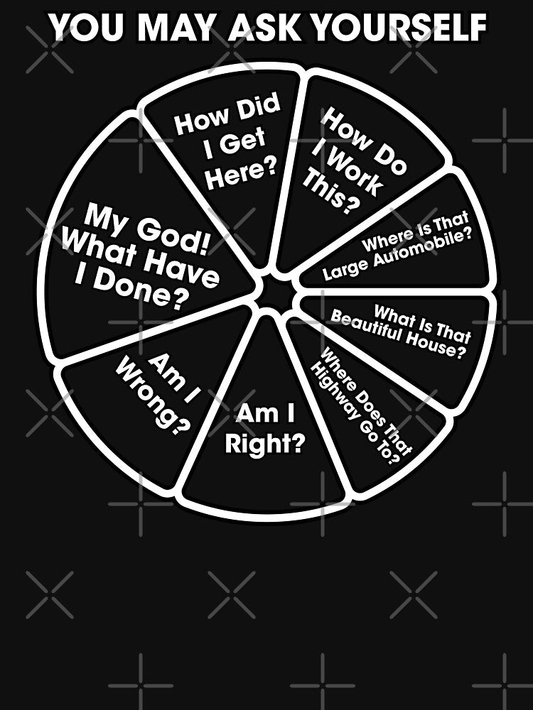 Once In A Lifetime - You May Ask Yourself Pie Chart B&W by el-em-cee