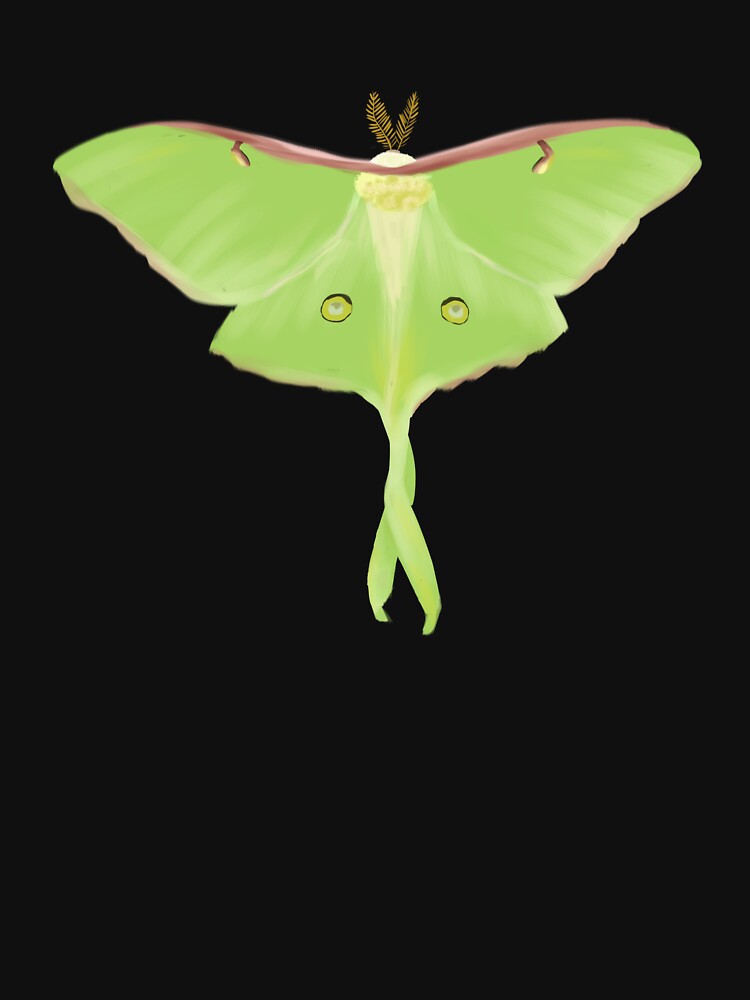 Luna Moth by cryptidartworks