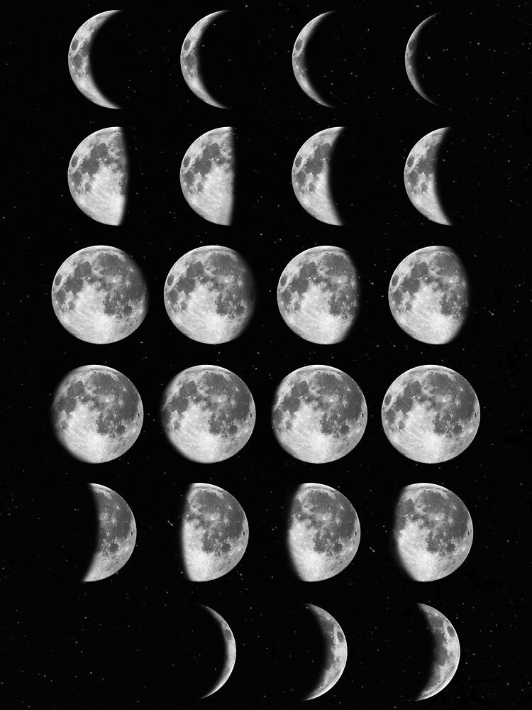 Moon Phases by lorihinner