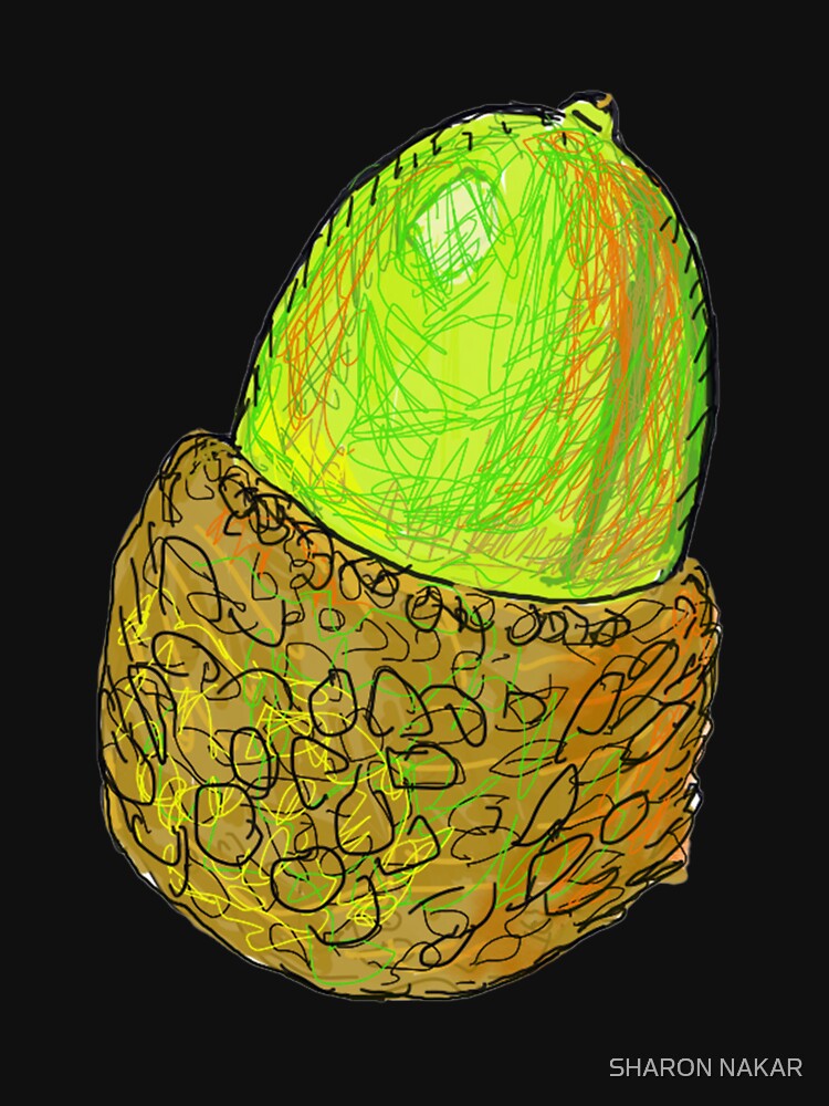 A green and brown acorn in Haifa by SHARON NAKAR
