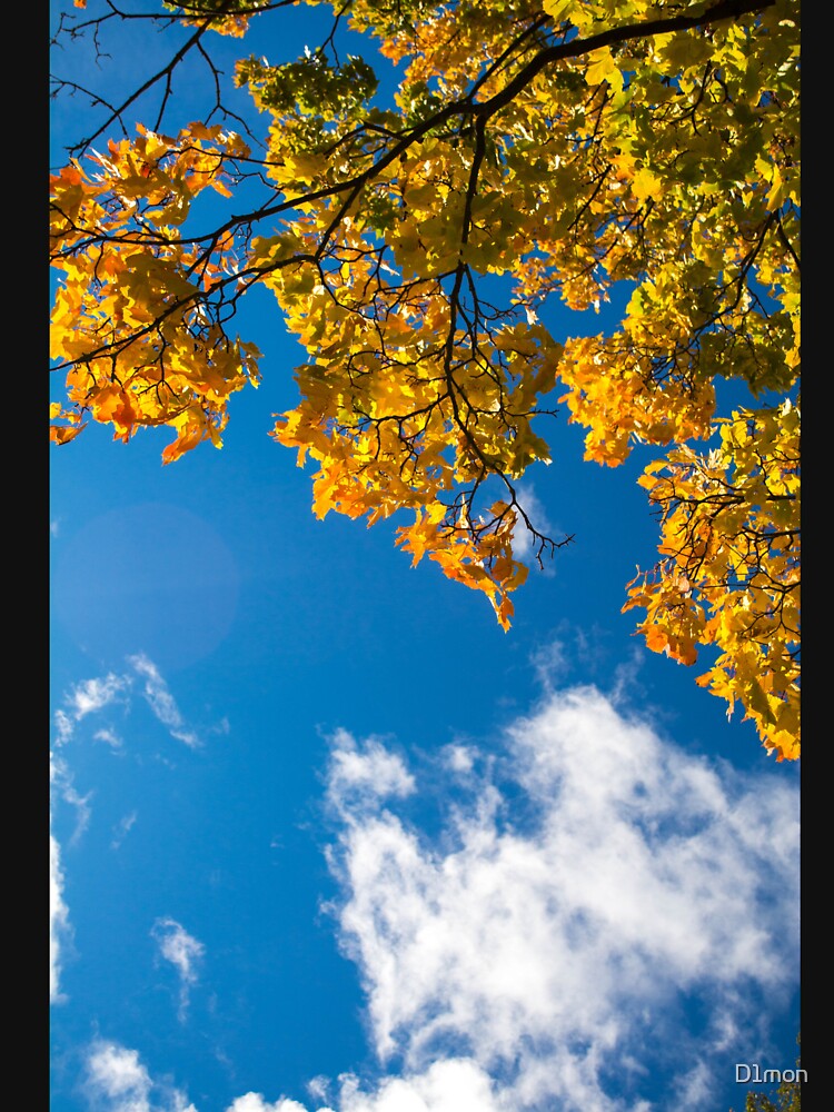 Sunny Fall Vibes by D1mon