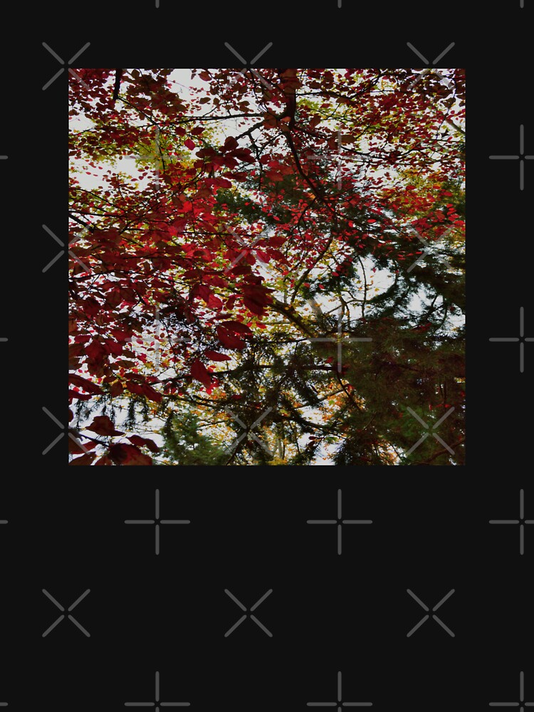 Fall Leaves in an Abstract Autumn Foliage Background by by-jwp