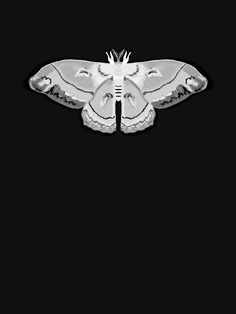 white cecropia moth by cascinas