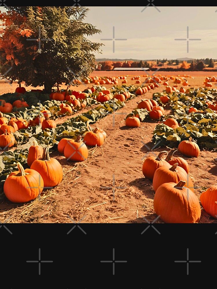 CALIFORNIAS COOL PUMPKIN PATCH FARM by milestotreasure